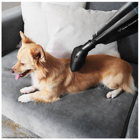 ASPIRADOR CONGA IMMORTAL EXTREMESUCTION 22,2V ANIMAL HAND CECOTEC