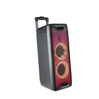 NGS PREMIUM PORTABLE SPEAKER WILD RAVE 1